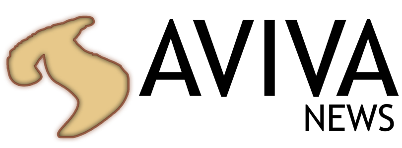 Aviva News