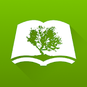 OliveTree